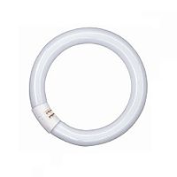 Лампа кольцевидная Osram L 22W/840